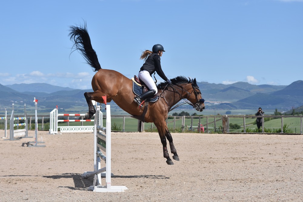 Segunda Fase de la Copa Navarra de Saltos en el Centro  Ecuestre Cizur